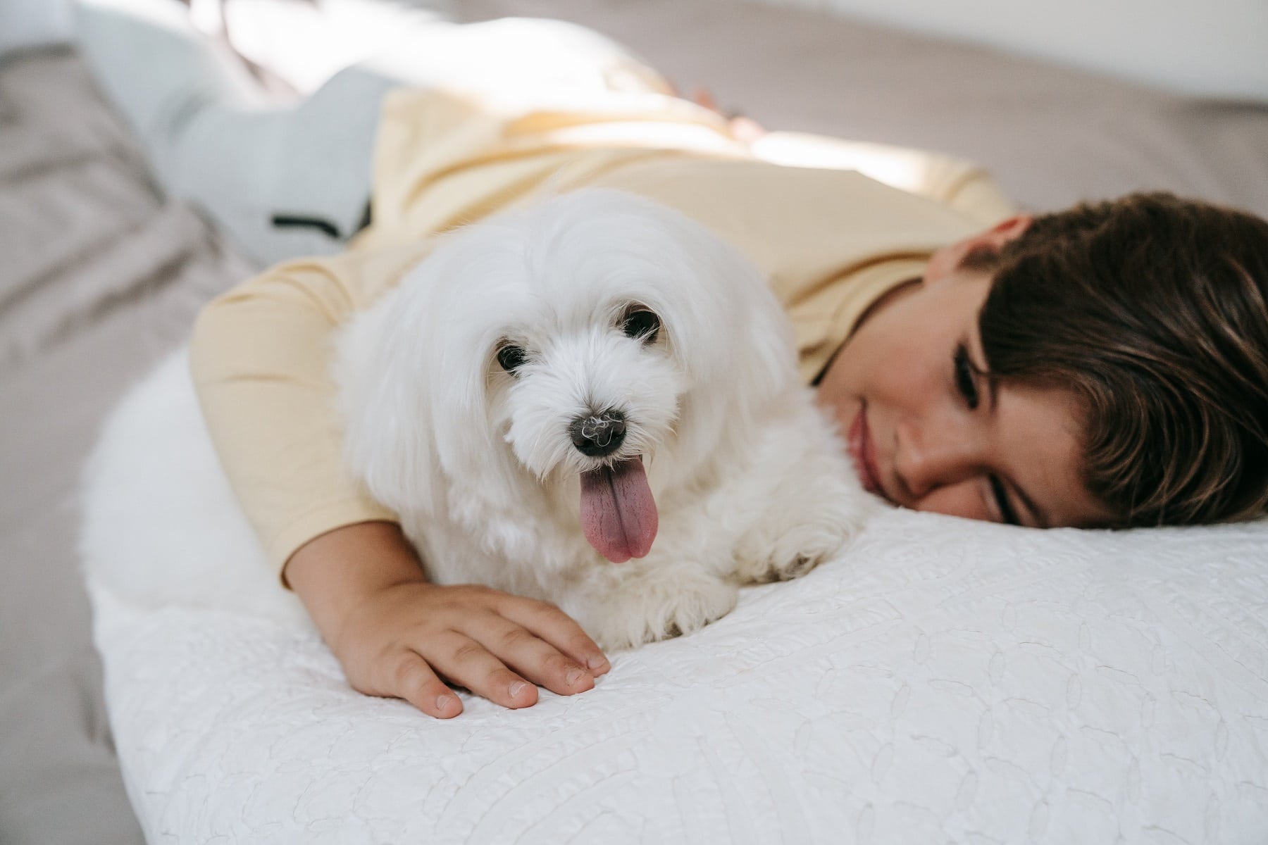 Boy cuddling a dog