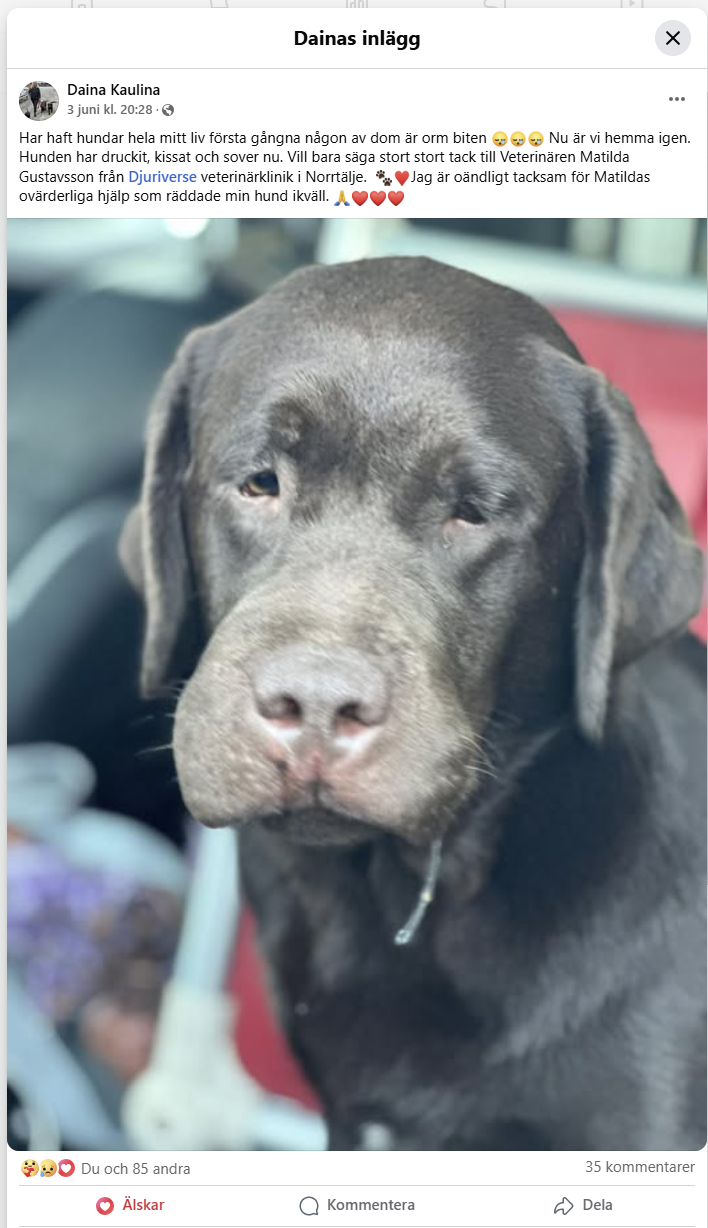Danias inlägg om sin ormbitna hund