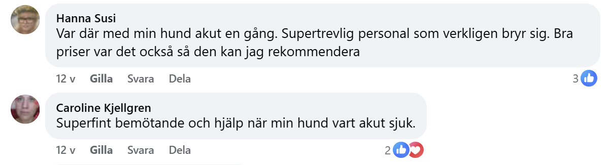 positiv erfarenheter djuriverse
