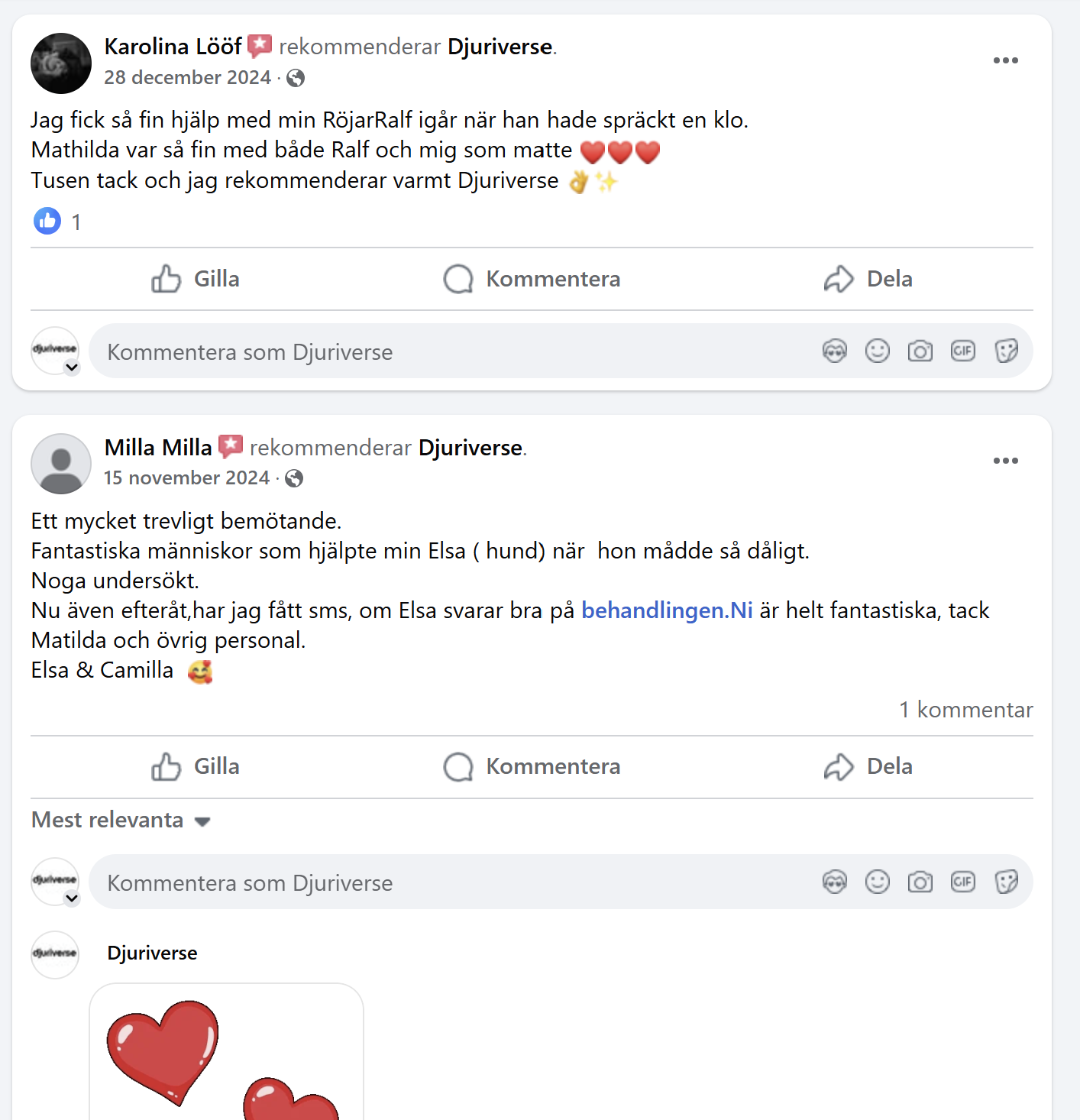 två st positiva reviews