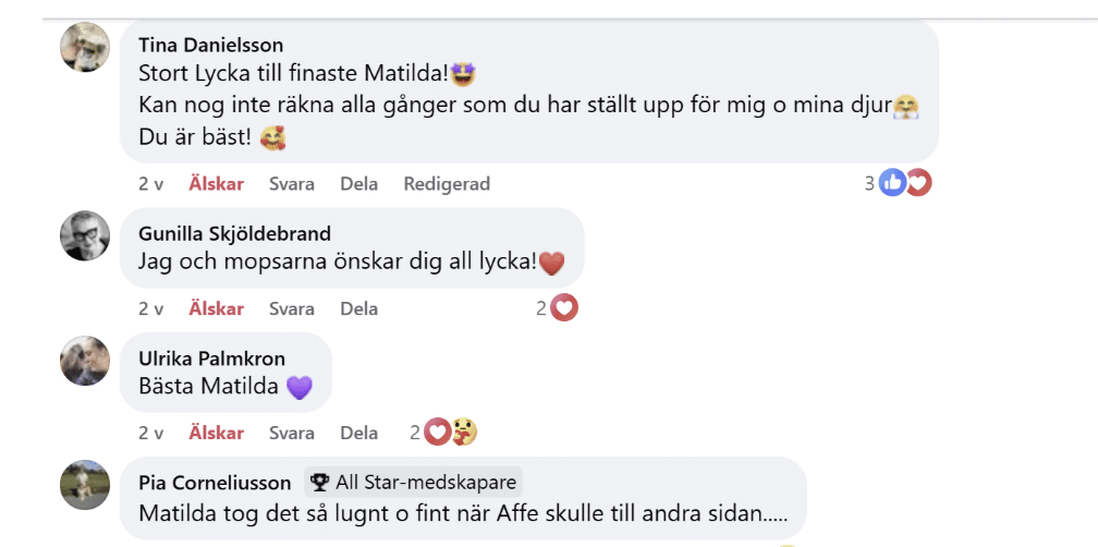 Featured image for “Vem vågar stå kvar när vinden vänder?”