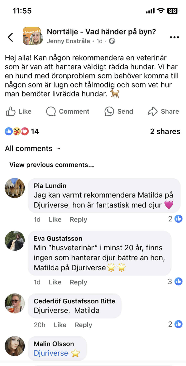 Reviews Matilda - vad händer på byn facebook